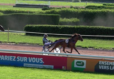 Av 22juni2020 Rebus S4310033