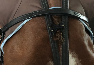 Daglfing 14juli20 Gustavo IMG 4275