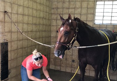 Daglfing 14juli20 Gustavo IMG 4278