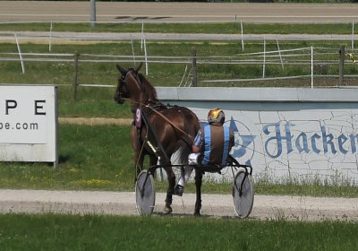 Daglfing 14juli20 Gustavo S4390036