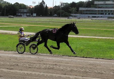 Daglfing 14juli20 Jack S4390012