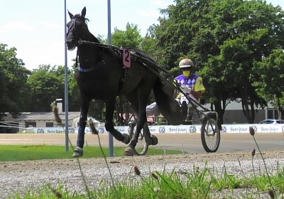 Daglfing 14juli20 Jack S4390015