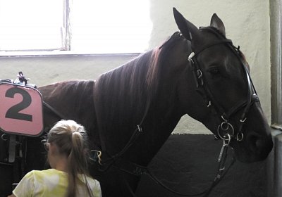 Daglfing 14juli20 Jack S4390049