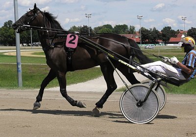 Daglfing 14juli20 Jack S4390063