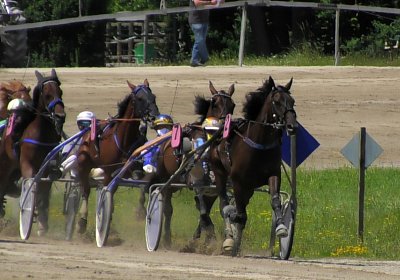 Daglfing 14juli20 Jack S4390065