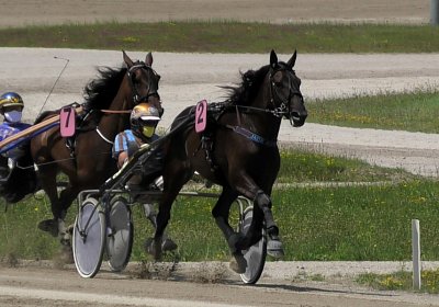 Daglfing 14juli20 Jack S4390066