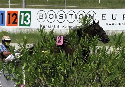 Daglfing 14juli20 Jack S4390068