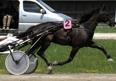 Daglfing 14juli20 Jack S4390069