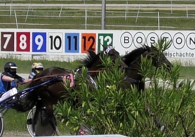 Daglfing 14juli20 Jack S4390073