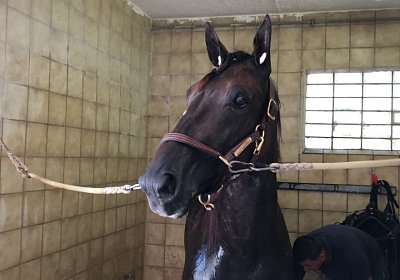 Daglfing 14juli20 Jack Zz IMG 4281