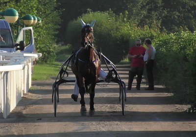 Av 9Aug2020 Z Alexis S4470013