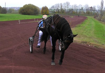 Jack S4740019