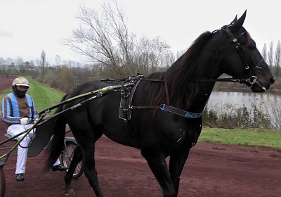 Jack S4740020