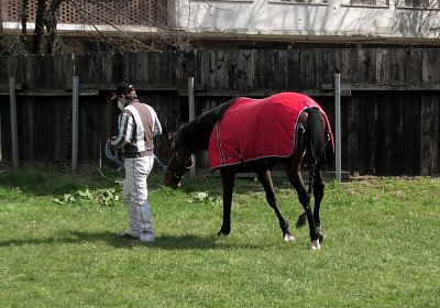 Mailand 170319 D S4820003 Vessillo