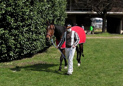 Mailand 170319 D S4820004 Vessillo