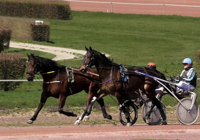 Av 31 03 21 F S4850050 Fernando Ina