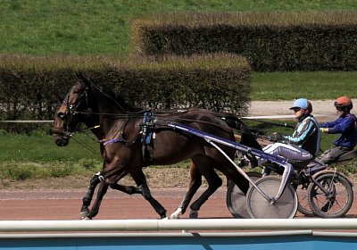 Av 31 03 21 F S4850051 Fernando Ina