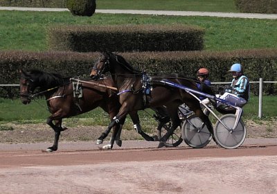 Av 31 03 21 F S4850052 Fernando Ina