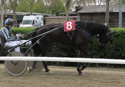 Turin 11 04 21 E S4880036 Globi