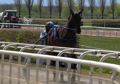 Av 23 04 21 Noon S4900038