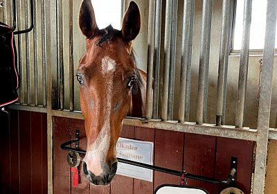 Av 09 05 21 A IMG 6880 Elkador