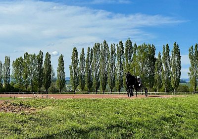 Av 09 05 21 C IMG 6898 Black