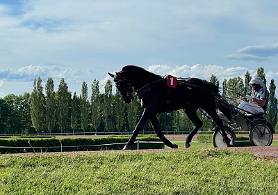 Av 09 05 21 C IMG 6902 Black