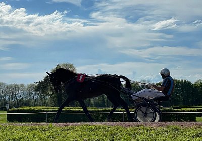 Av 09 05 21 C IMG 6908 Black