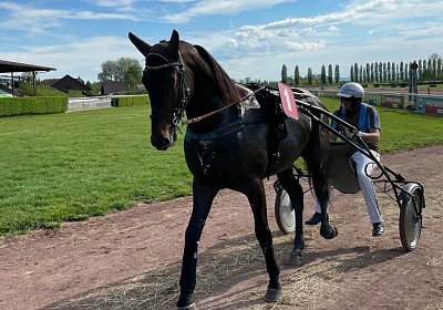 Av 09 05 21 C IMG 6911 Black