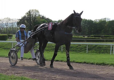 Av 09 05 21 D S4940068 Black