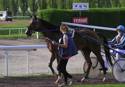 Av 09 05 21 E S4940062 Elkador