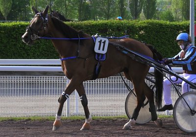 Av 09 05 21 E S4940063 Elkador