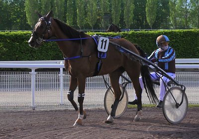 Av 09 05 21 E S4940064 Elkador