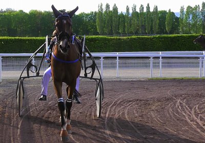 Av 09 05 21 E S4940065 Elkador