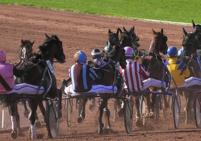 Av 09 05 21 E S4940069 Elkador