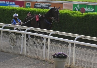 Av 09 05 21 F S4940071 Black