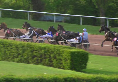 Av 09 05 21 F S4940083 Black