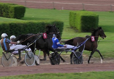 Av 09 05 21 F S4940085 Black