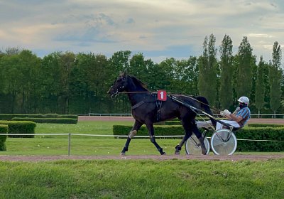 Av 09 05 21 G IMG 6922 Black