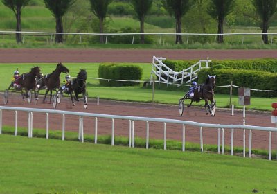 23 05 21 F S4970032 Vessillo