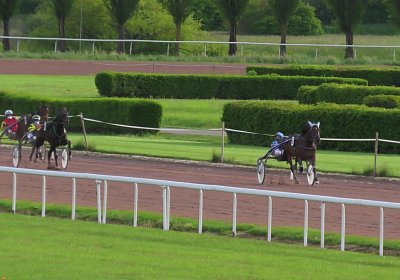 23 05 21 F S4970033 Vessillo