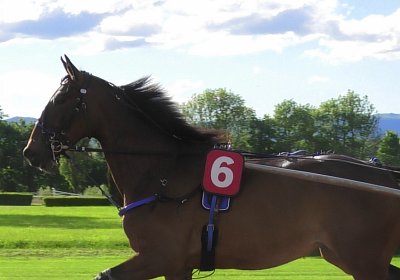 23 05 21 K S4970021 Ina