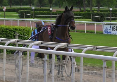 23 05 21 K S4970051 Ina