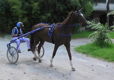 29 05 21 E S5000023 Ulysse