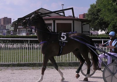29 05 21 H S5000048 Ulysse