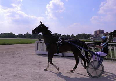 29 05 21 H S5000049 Ulysse