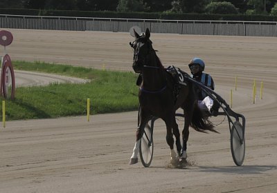 29 05 21 H S5000053 Ulysse