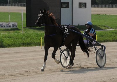 29 05 21 H S5000054 Ulysse