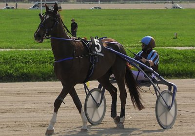 29 05 21 H S5000058 Ulysse