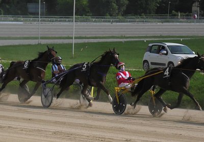 29 05 21 H S5000061 Ulysse